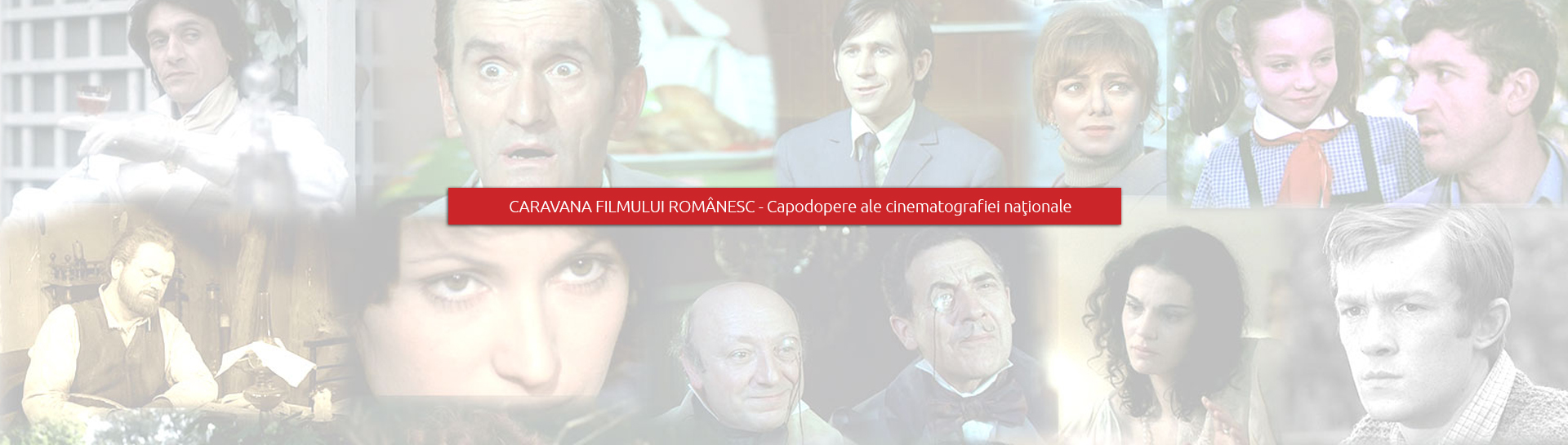 Asociatia CineCultura